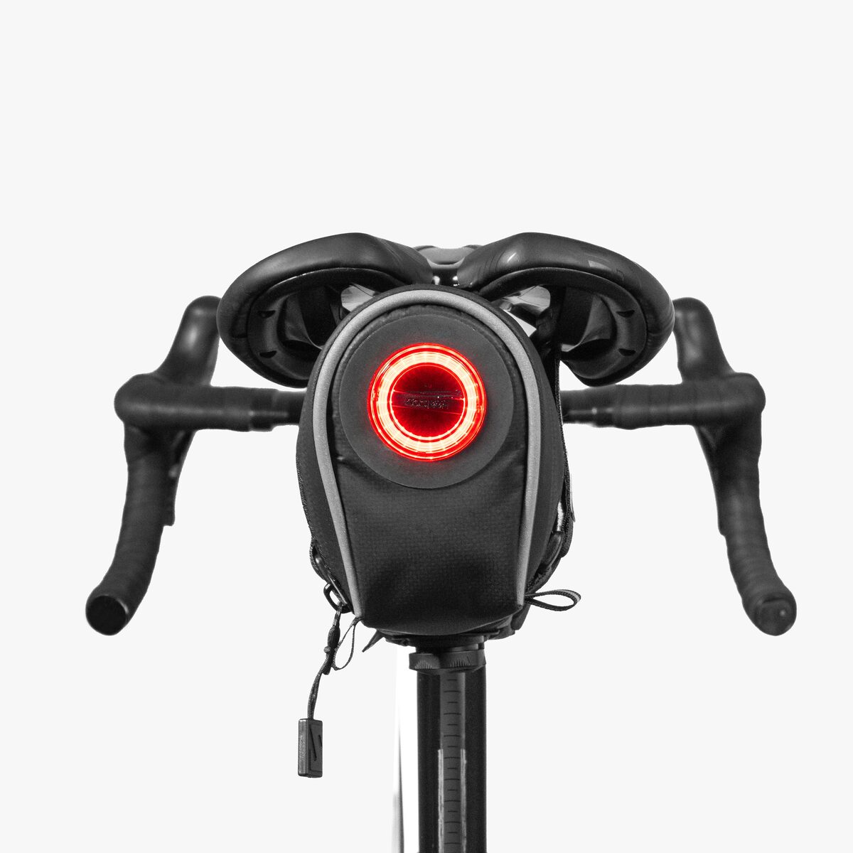 Saddlebag 098 with Taillight back